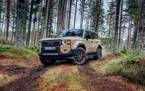 Внедорожник Toyota Land Cruiser First Edition в лесу