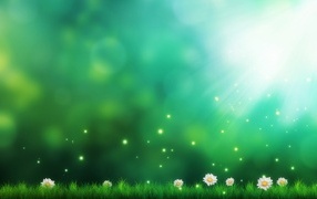 Зеленый фон с ромашками и зеленой травой