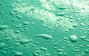 Капли воды на зеленом фоне