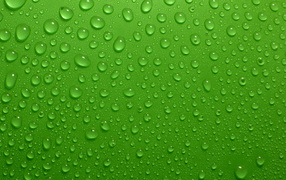 Капли воды на зеленом фоне