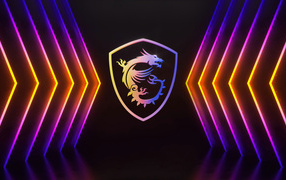 Разноцветные неоновые указатели для логотипа msi