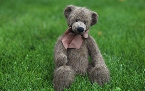 Игрушечный медведь с бантом сидит на зеленой траве