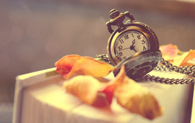 Старые карманные часы с сухими листьями лежат на книге