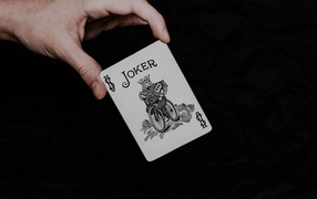 Карта Джокер в руке на черном фоне