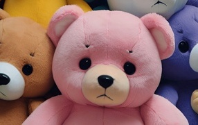 Разноцветные плюшевые медведи крупным планом