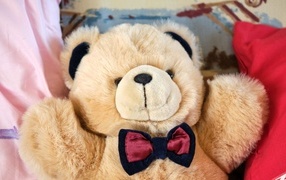 Плюшевый мишка с бабочкой 