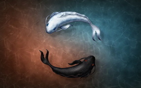 Черная и белая нарисованные рыбы в воде