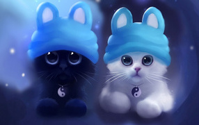 Два котенка инь и янь в шапках