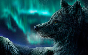Черный фантастический волк на фоне полярного сияния