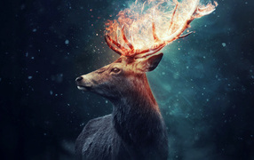 Олень с огненными рогами на черном фоне