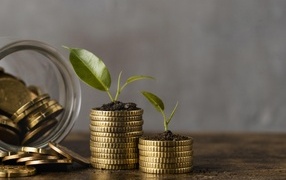 Зеленые ростки с золотыми монетами на столе