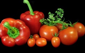 Болгарский перец с помидорами на черном фоне