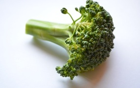 Свежее зеленое брокколи на сером фоне