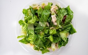 Лиственный салат с курицей в тарелке