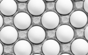 Много белых яиц в подставке на столе