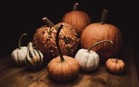 Тыква разной формы осенью