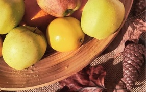 Чистые спелые яблоки на столе с шишкой