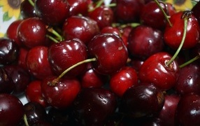 Вкусная красная черешня на столе