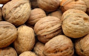 Много грецких орехов крупным планом