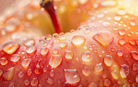 Розовое яблоко в каплях воды