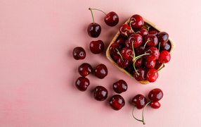 Ripe sweet red cherries on a pink background