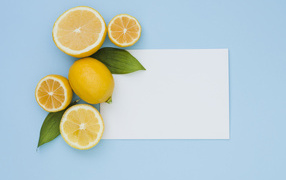 Белый лист бумаги с лимонами и апельсинами на голубом фоне
