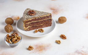 Appetizing piece of cake with walnuts