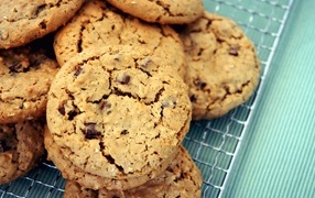 Appetizing round cookies with chocolate