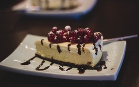 Piece of cheesecake with red currants