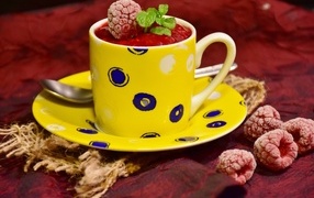 Малиновый сорбет с ягодами на столе в чашке