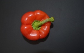 Сладкий красный перец на сером фоне