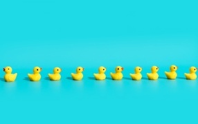 Маленькие игрушечные утята на голубом фоне