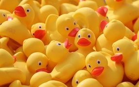 Резиновые желтые уточки 