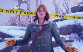 Компьютерная игра Life is Strange: Double Exposure, 2024