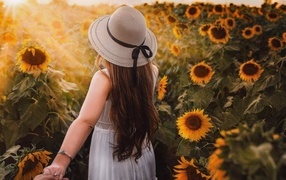 Девушка в белом платье и шляпе идет по полю с подсолнухами