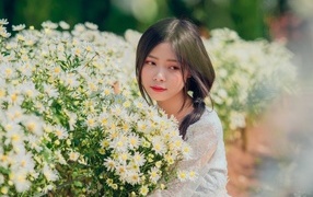 Нежная девушка азиатка с цветами ромашки