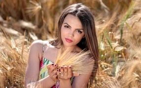 Молодая красивая девушка с колосьями пшеницы в руках