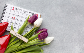 Календарь, красные туфли и букет тюльпанов на 8 марта