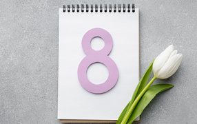 Розовая цифра 8 на блокноте с белым тюльпаном на Международный женский день 