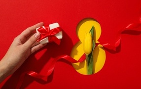 Красный фон с подарком, желтым тюльпаном и цифрой на 8 марта