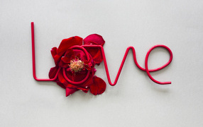 Надпись любовь на сером фоне с цветком 