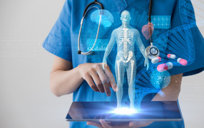 Доктор с макетом человека на планшете