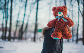 Плюшевый медвежонок Тедди в руках у парня зимой