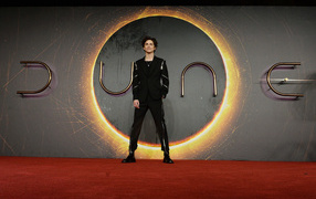 Актер Тимоти Шаламе на фоне стены