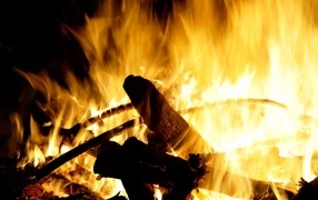 Яркое горячее пламя костра крупным планом