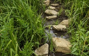 Большие камни в ручье в зеленой траве