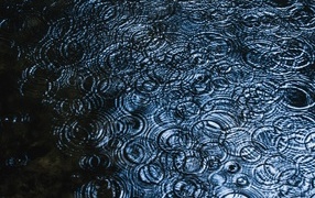 Круги от дождя на воде