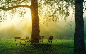 Стол и стулья у дерева в саду на рассвете 