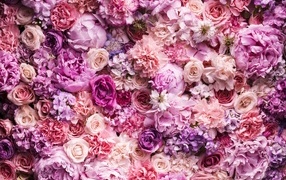 Красивый цветочный розовый фон