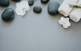 Черные камни с цветами орхидеи и полотенцем на сером фоне